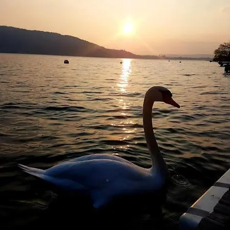 View 1 ! * Veyrier-du-Lac